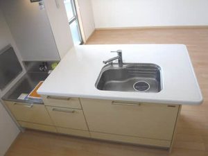 ルピナス B205号-4