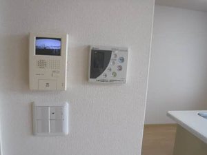 ルピナス B205号-5