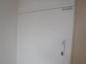 ルピナス B205号-6