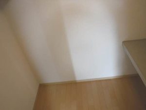 ルピナス B205号-8