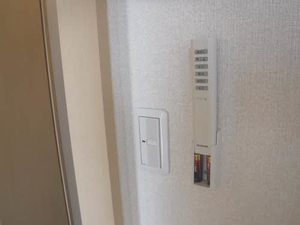 ルピナス B205号-9