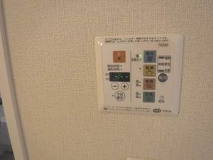 ルピナス B205号-12