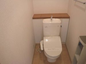 ルピナス B205号-13