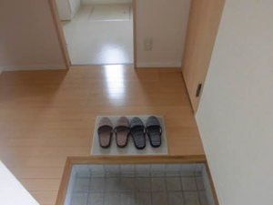 ラヴィオラ 0103号-3