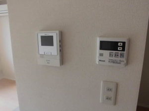 ラヴィオラ 0103号-9