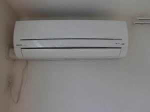 ラヴィオラ 0103号-10