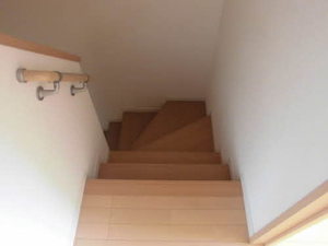 ラヴィオラ 0103号-12