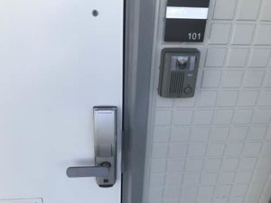 グラシューアイ 0101号-3