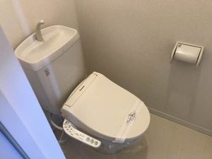 グラシューアイ 0101号-8