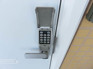 グラシューアイ 0102号-3