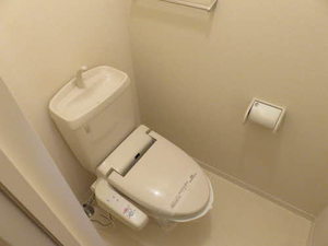 グラシューアイ 0102号-11