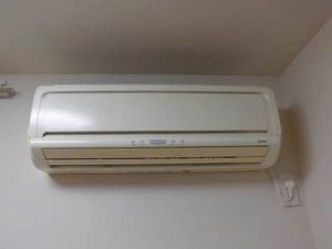 アムールフジ 0101号-9