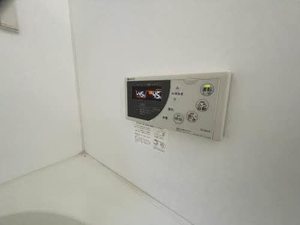 やまぼうし 0101号-12