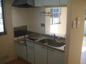 Ａｐｐｌｅ A202号-5