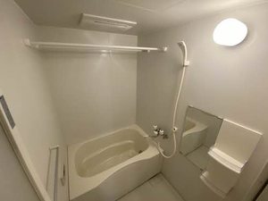 メゾンドＴⅰＴⅰ 0101号-9