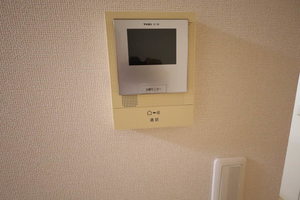 メゾンドＴⅰＴⅰ 0201号-13