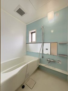 ピュアライムⅡ 0101号-5