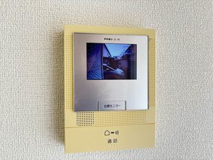 ピュアライムⅡ 0101号-11