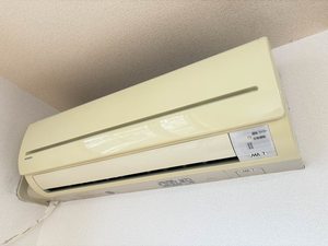 ピュアライムⅡ 0101号-12