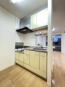 ビューカルチェ 0203号-5