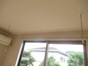 ダニエル 0202号-8