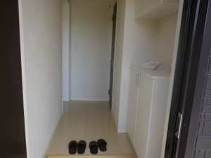 Ｓｔｅｌｌａ　Ⅵ 6101号-3