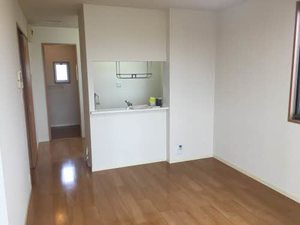 Ｓｔｅｌｌａ　Ⅵ 6203号-2