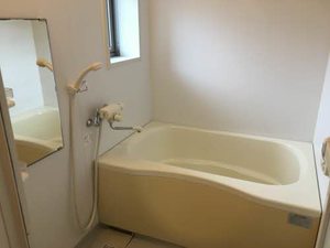 Ｓｔｅｌｌａ　Ⅵ 6203号-8