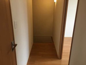 Ｓｔｅｌｌａ　Ⅵ 6203号-12