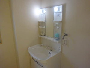 Ｃｈｅｌｓｅａ 0101号-7