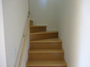 Ｃｈｅｌｓｅａ 0101号-9