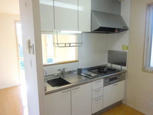 Ｃｈｅｌｓｅａ 0101号-13