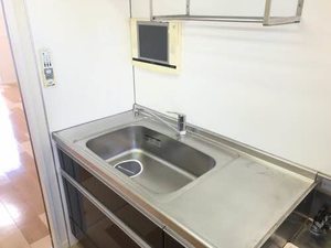 フルハウス B102号-5