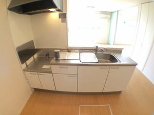 シーサイドアネックス A102号-9