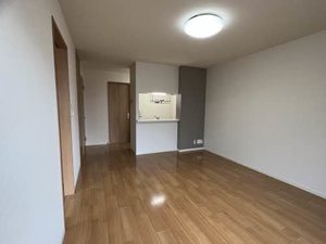 ディアス・ＦＪ D101号-2