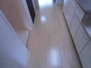 ディアスレント 0201号-14