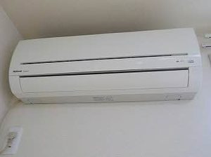 フローラ新田塚 A102号-10