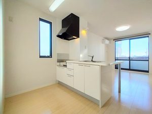 ヴェルドミール A201号-4