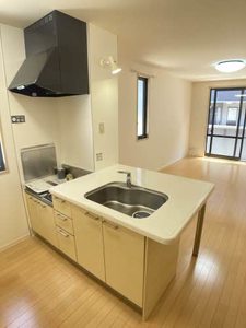 ヴェルドミール B201号-5