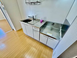 ラフィーネ 0201号-4