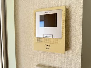 ラフィーネ 0201号-11