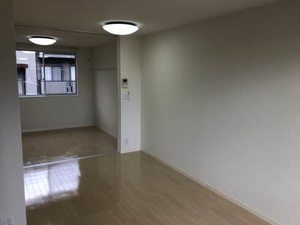 ストレリチア 0101号-4