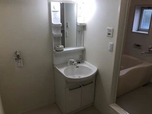 ストレリチア 0101号-9