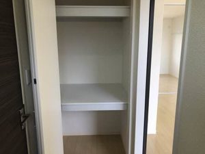 ストレリチア 0101号-11