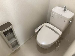 ストレリチア 0101号-12