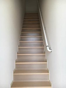 ストレリチア 0203号-14