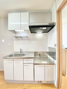 リビエレット・オジェⅣ 0201号-7