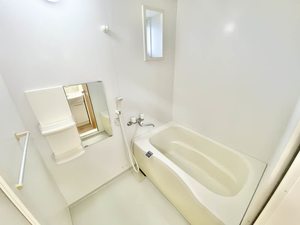 リビエレット・オジェⅣ 0201号-11