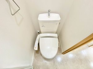 リビエレット・オジェⅣ 0201号-12