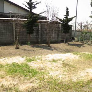 Sha Maison N 0101号-9